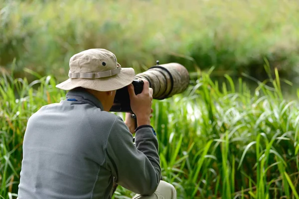 Wildlife photographer outdoor — Stock Photo, Image