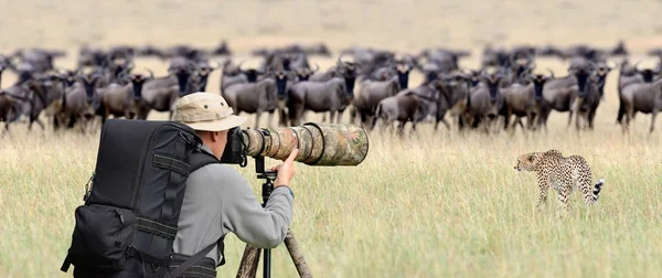 Profesyonel doğa fotoğrafçısı