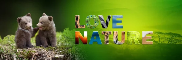 Urso filhote com texto Amor Natureza — Fotografia de Stock