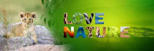 Львенок с текстом Love Nature — стоковое фото
