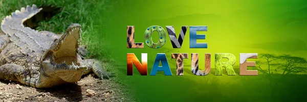Crocodilo com texto Love Nature — Fotografia de Stock