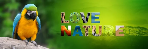 Parrot with text Love Nature — Stock Photo, Image