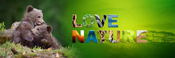 Bear cub with text Love Nature — Stock Photo, Image