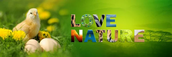 Chicken with text Love Nature — Stock Photo, Image