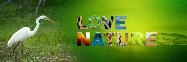 Egret com texto Love Nature — Fotografia de Stock