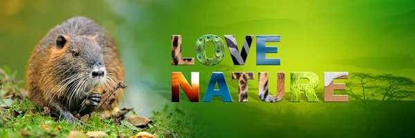 Bisamratte mit Text liebt die Natur — Stockfoto