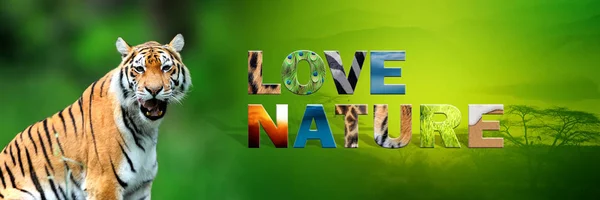 Tiger with text Love Nature — Stock Photo, Image