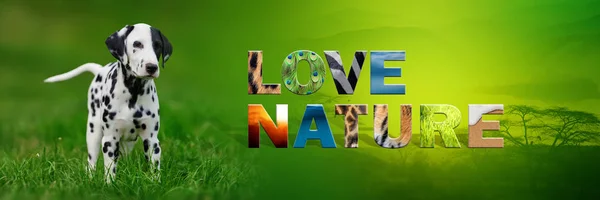 Cão com texto Amor Natureza — Fotografia de Stock