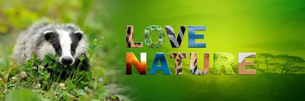 Grävling med text kärlek natur — Stockfoto