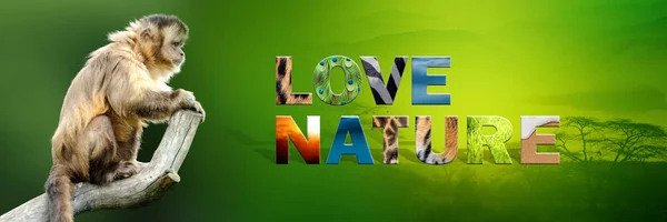 Apa med texten Love natur — Stockfoto