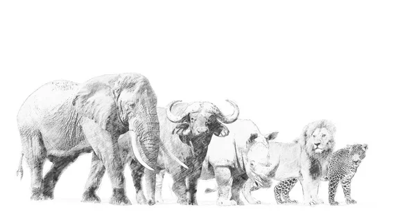 Большая африканская пятерка животных. Рисунок карандашом — стоковое фото