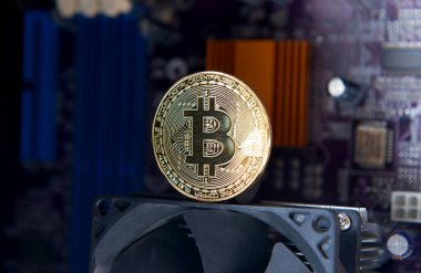 Altın Bitcoin elektronik bilgisayar işlemci kartı