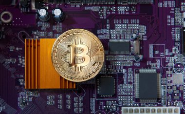 Altın Bitcoin elektronik bilgisayar işlemci kartı