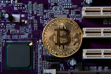 Altın Bitcoin elektronik bilgisayar işlemci kartı