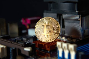 Altın Bitcoin elektronik bilgisayar işlemci kartı