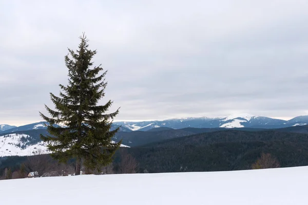 Paisaje de montaña de invierno —  Fotos de Stock