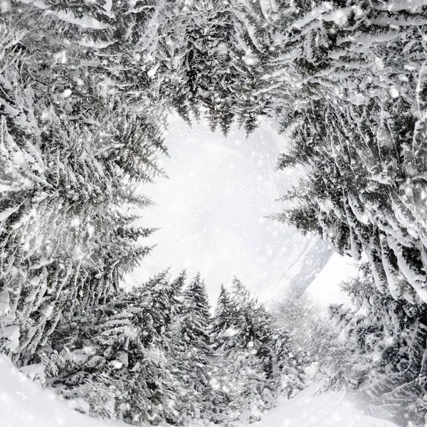 360 degree view of Beautiful winter landscape