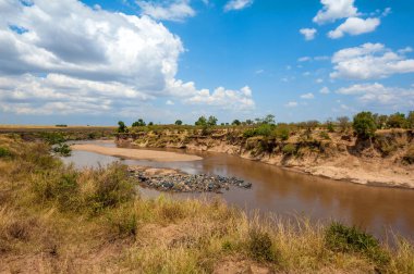 Savannah manzara nehir Kenya Milli Parkı ile