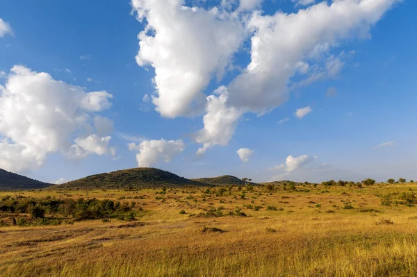 Paisaje de sabana en el Parque Nacional de Kenia —  Fotos de Stock