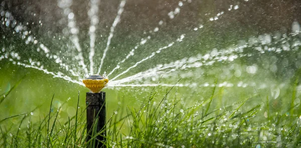 Sprinkler in action watering grass — Stock Photo, Image