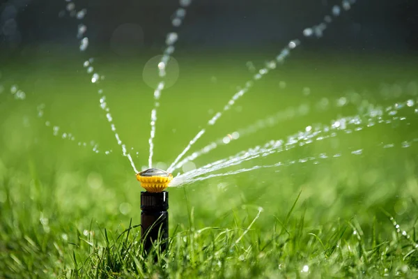 Спринклер в дії поливання трави — стокове фото
