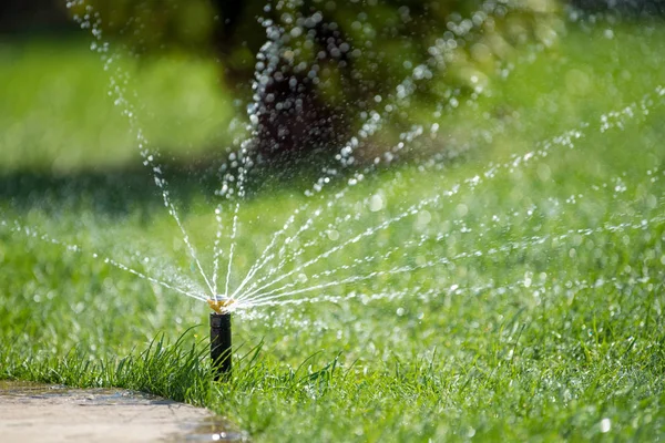 Sprinkler i aktion vattning gräs — Stockfoto