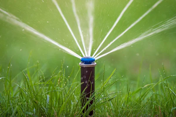Спринклер в дії поливання трави — стокове фото