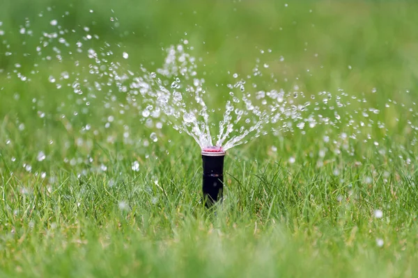 Sprinkler in azione irrigazione erba — Foto Stock