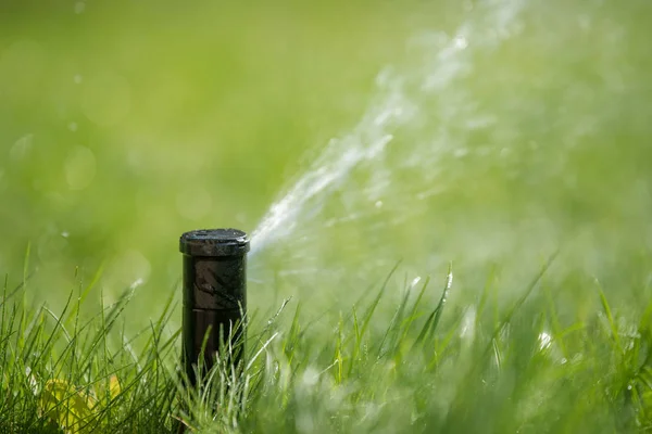 Sprinkler in action watering grass — Stock Photo, Image