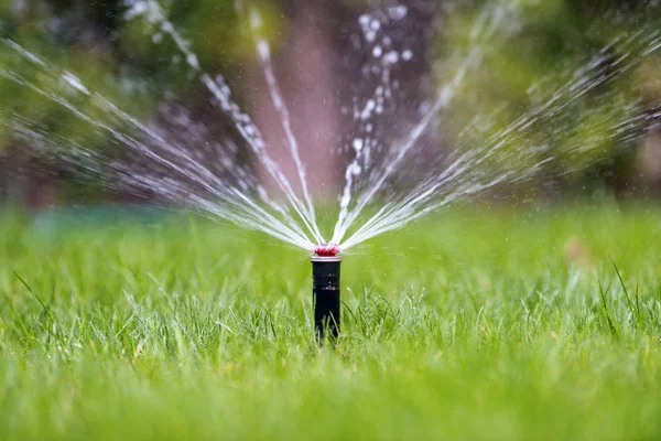 Sprinkler in azione irrigazione erba — Foto Stock
