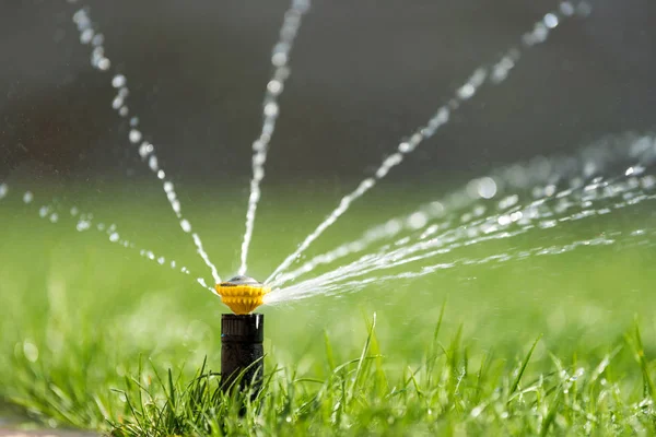 Sprinkler in action watering grass — Stock Photo, Image
