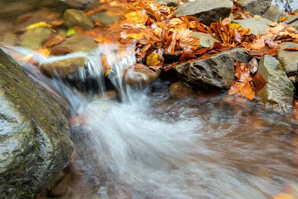 Farbenfroher majestätischer Wasserfall im herbstlichen Wald — Stockfoto