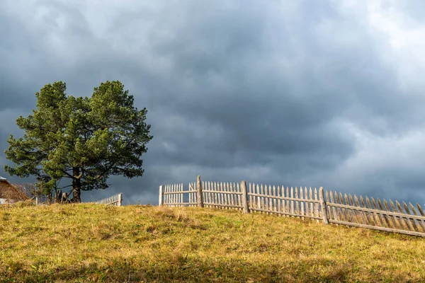 Landschaft mit einsamem Baum und dunklem stürmischen Himmel — Stockfoto