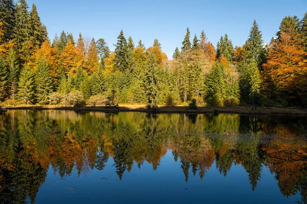 Waldsee im Herbst buntes Laub — Stockfoto
