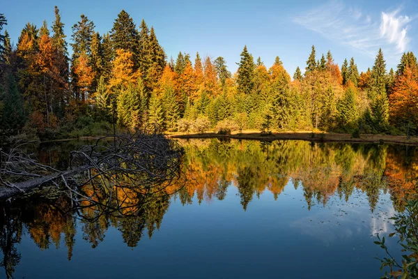 Lesní jezero v podzimním barevném listí — Stock fotografie