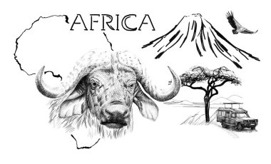 Kilimanjaro Dağı ile Afrika haritasındaki bufalo portresi