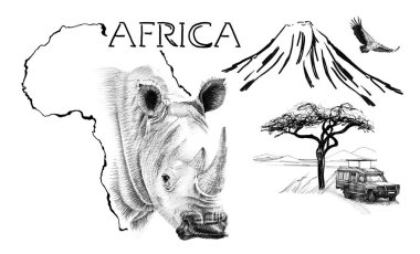 Afrika haritasındaki gergedan portresi Kilimanjaro Mountai ile arka plan