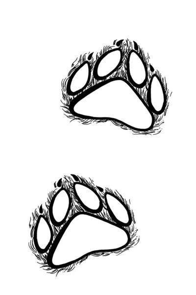 손으로 그린 동물의 흔적, 그래픽을 스케치 한 모노크롬 일러스트레이션 — 스톡 사진