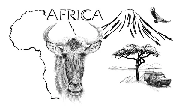 Wildebeest portrait on Africa map background with Kilimanjaro mo — 스톡 사진