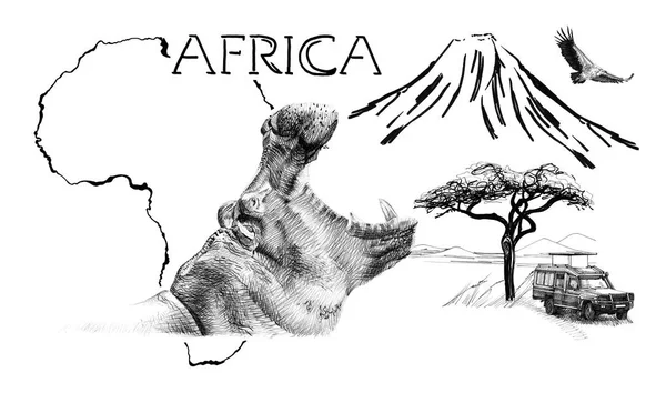 Nilpferd-Porträt auf Afrika-Landkarte Hintergrund mit Kilimandscharo-Gebirge — Stockfoto