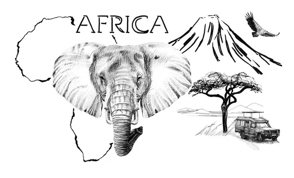 Afrika haritasındaki fil portresi Kilimanjaro moun ile birlikte