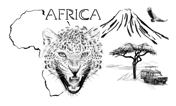 Leopard portrait on Africa map background with Kilimanjaro mount — ストック写真