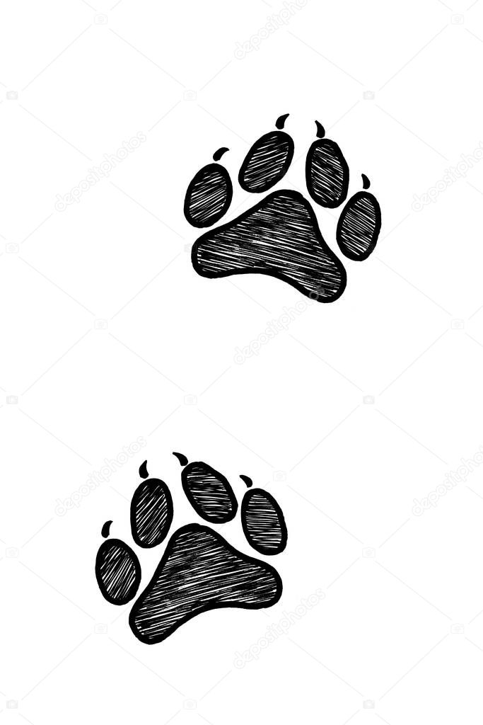 Hand drawn animal trails, sketch graphics monochrome illustratio