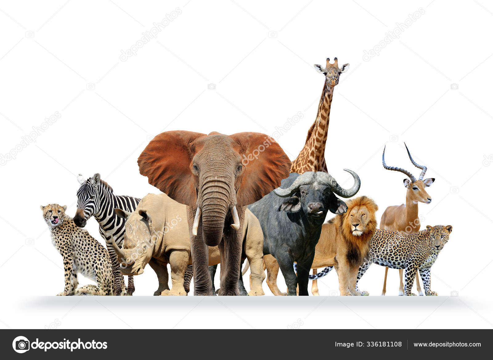 Group of African safari animals together Stock Photo by ©VolodymyrBur  336181108