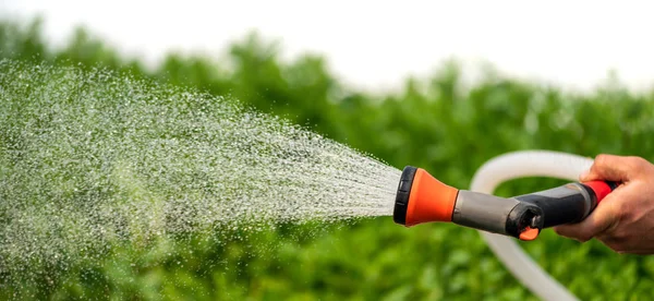 Watering Different Plants Greenhouse Garden — Stock Photo, Image