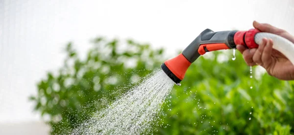 Bewässerung Verschiedener Pflanzen Gewächshausgarten — Stockfoto