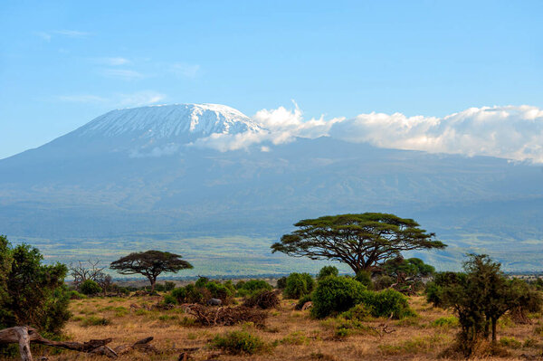 Beautiful view of the majestic Mount Kilimanjaro seen from Amboseli National Park, Kenya.