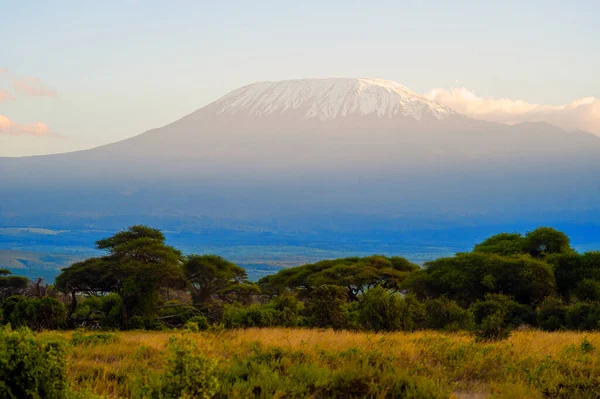 Krásný Výhled Majestátní Horu Kilimandžáro Národního Parku Amboseli Keňa — Stock fotografie