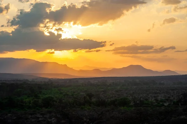 Kenya Daki Amboseli Ulusal Parkı Nda Günbatımı Manzarası Altın Akşam — Stok fotoğraf