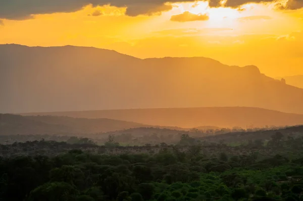 アンボゼリ国立公園 ケニアの日没の風景 黄金の夜の光 — ストック写真